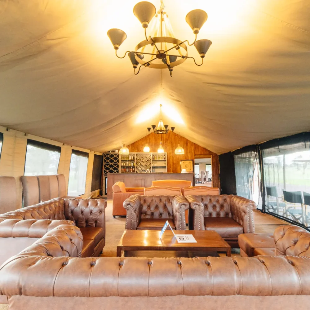 “Luxury safari tent lounge with leather Chesterfield sofas and warm lighting in an elegant glamping camp.