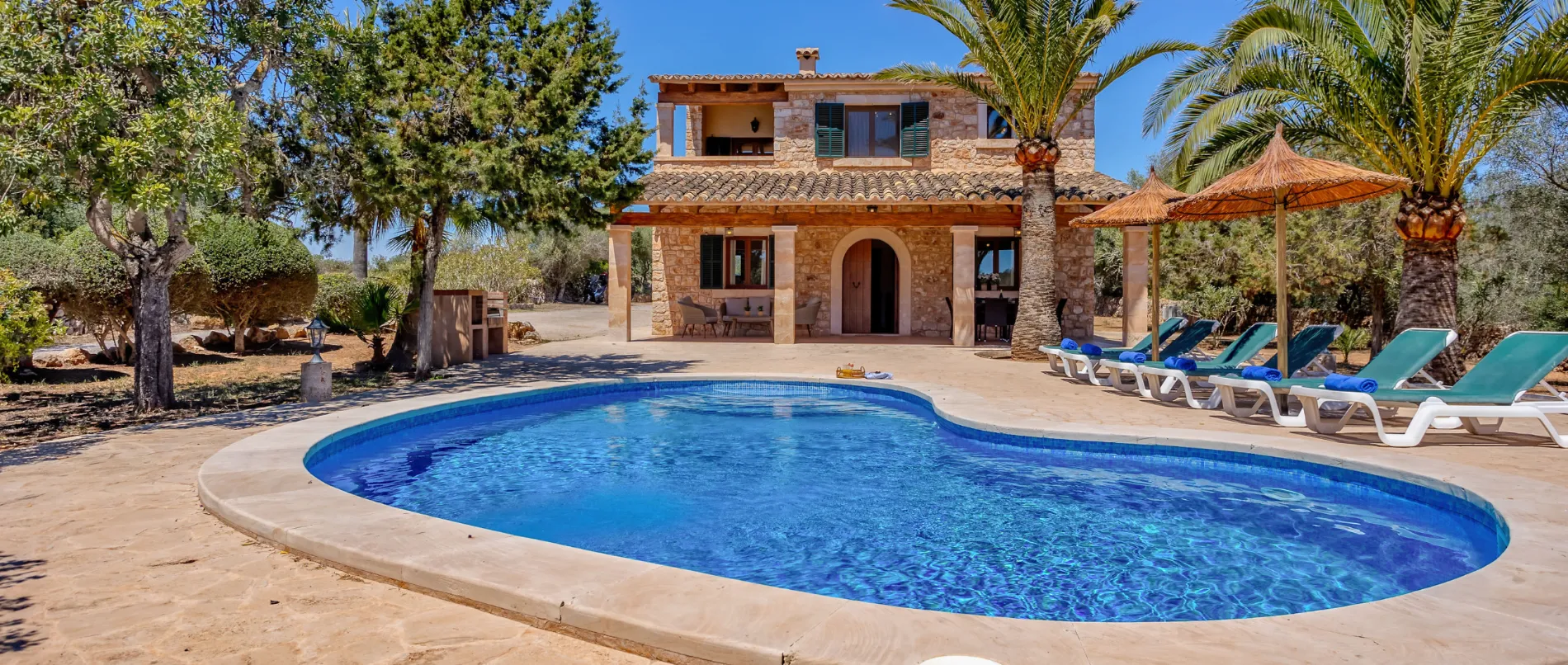 Traditional stone villa in Mallorca surrounded by palm trees and featuring a curved swimming pool