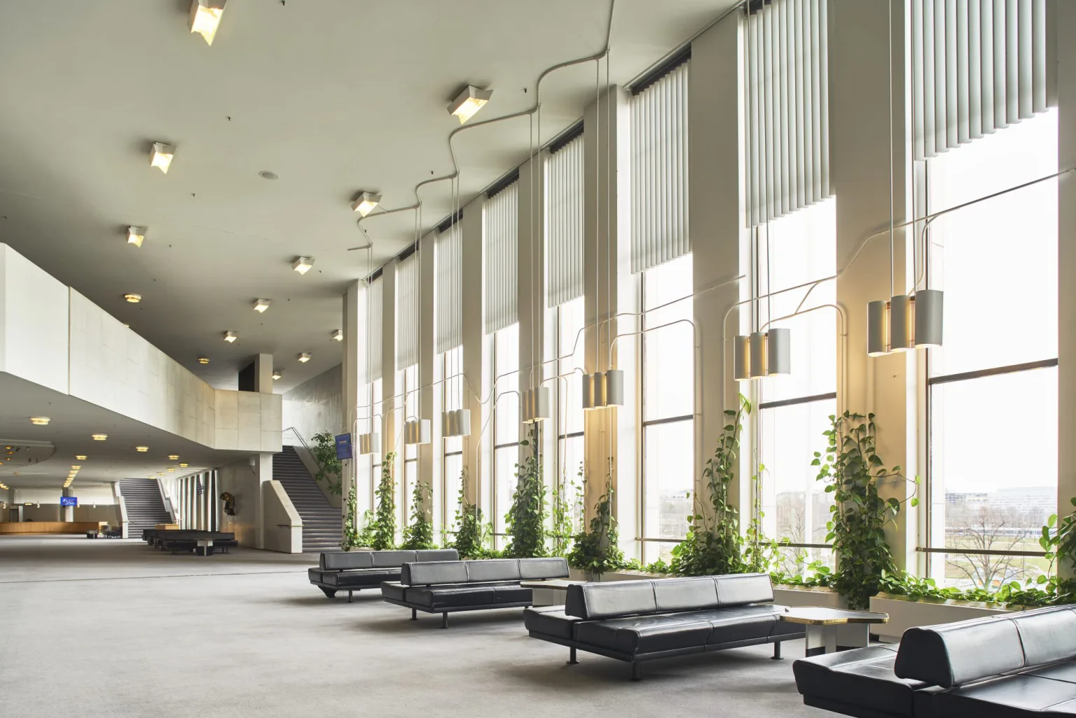 Spacious modernist interior with tall vertical windows, indoor greenery, and minimalist black seating — an example of Scandinavian architecture, mid-century modern design, and biophilic interiors.